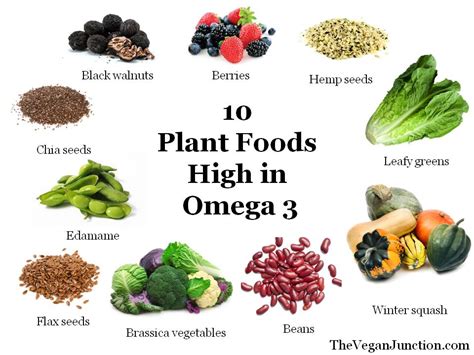 plant based foods high in omega 3